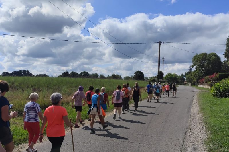 Sort en détente Marche