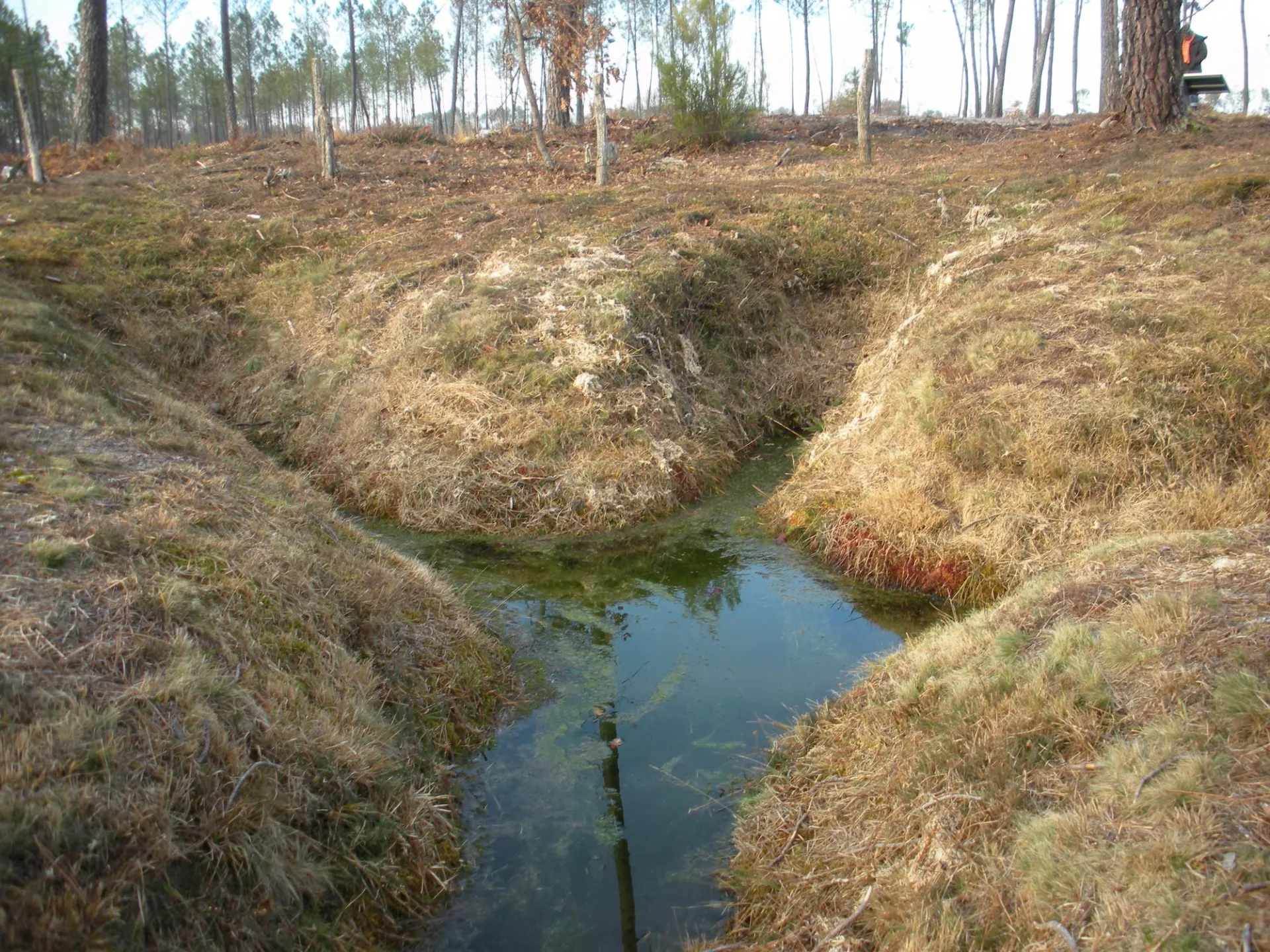 Circuit des sources en Pays Morcenais Ousse-Suzan Saint Girons