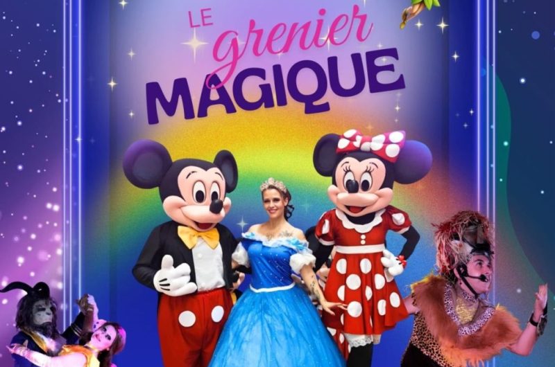 Spectacle Disney 14 MARS
