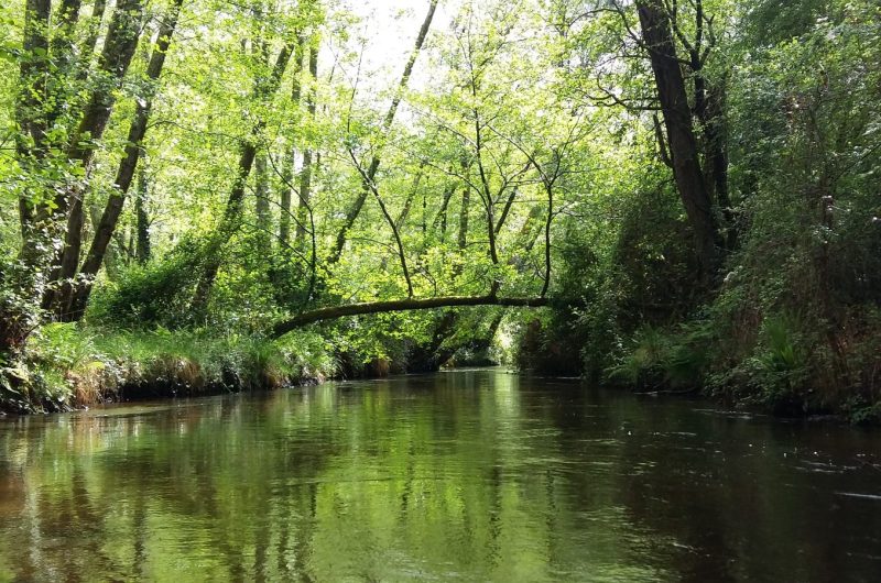 St-Michel-Escalus_Canoe Land (2)