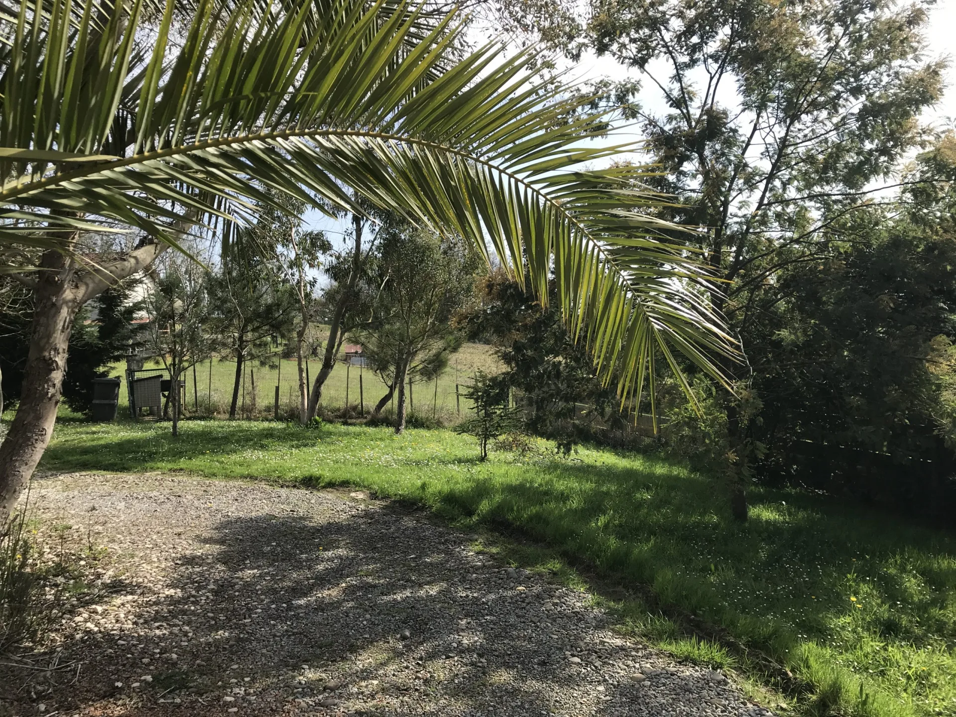 StudioCagnotte-Extérieur