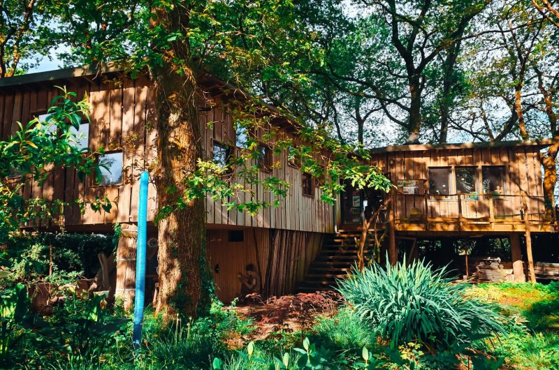 Sur-un-livre-perche-3-Saubion-Landes-Atlantique-Sud