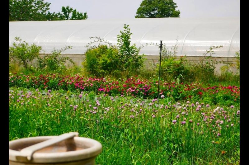 TS_2025-autre campagne (05)