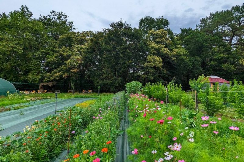 TS_2025-autre campagne (06)