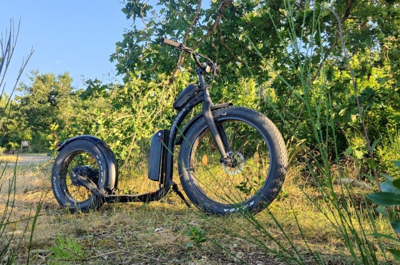 Tchanq-Foret-Mimizan-copie-2