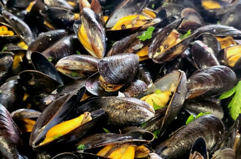 Tiapas-2025-02-19-20-15-32