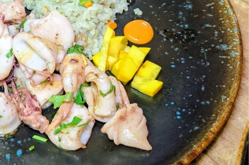 Tibou_Molietsetmaa3@OTILandesAtlantiqueSud