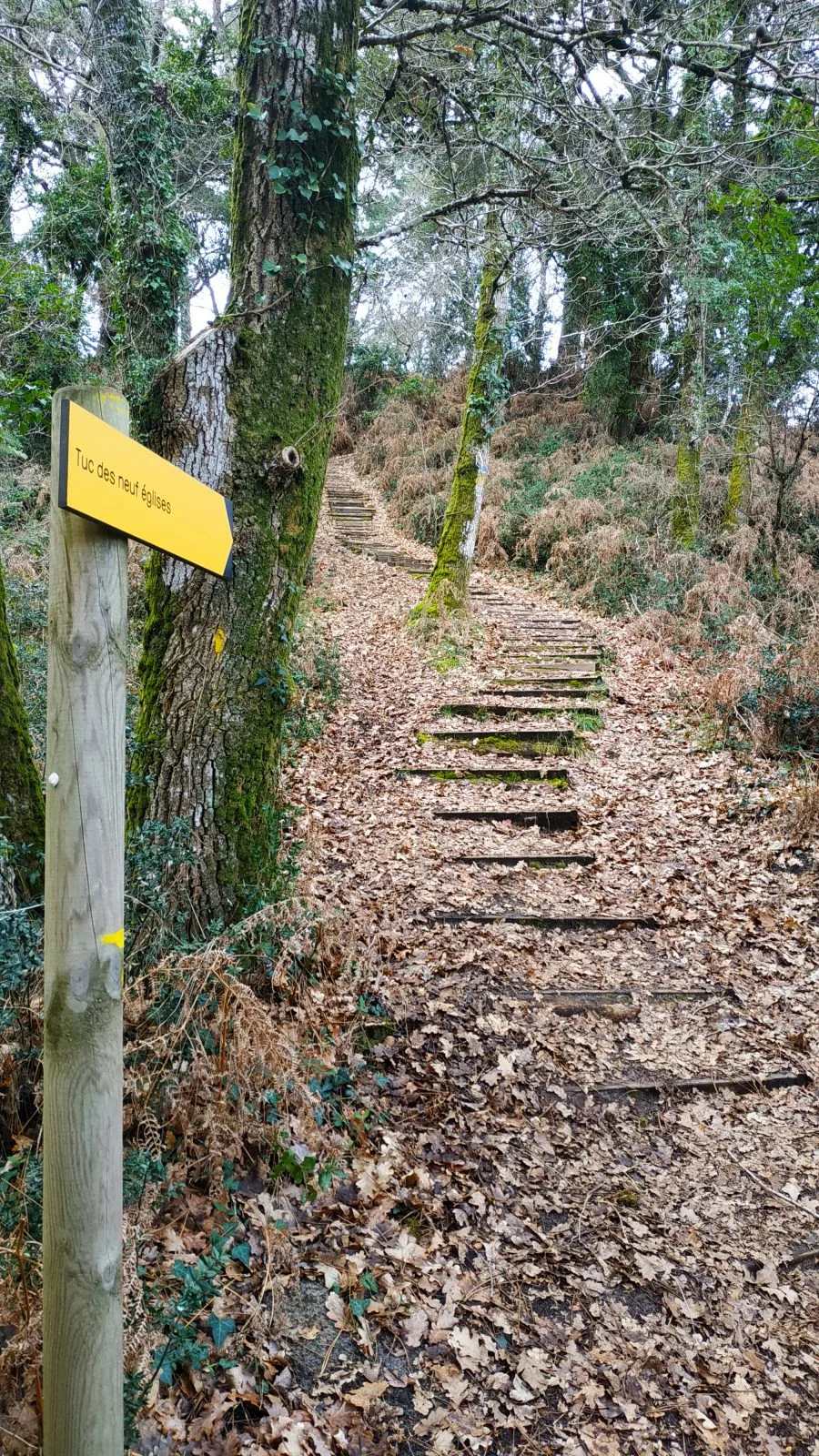 A Capbreton, parcours pédagogique du Tuc