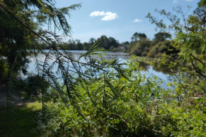 Balade Étang du Turc