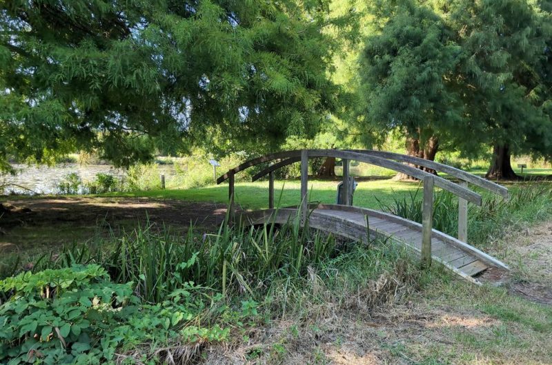 Balade Étang du Turc