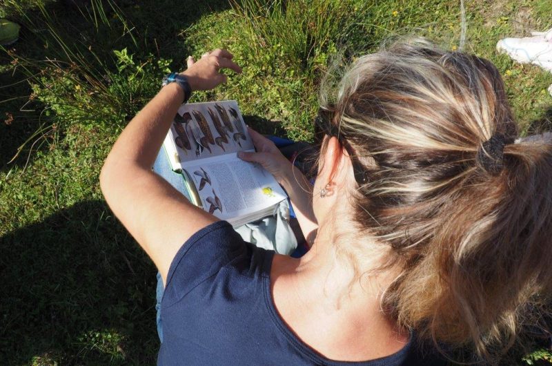 V-G O.I.T Mimizan (102)