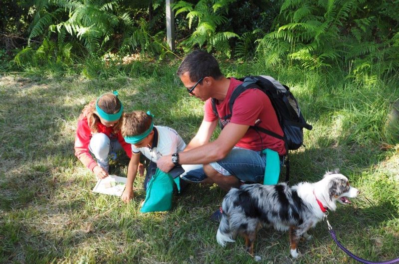 VG nature Game 2019 (101)