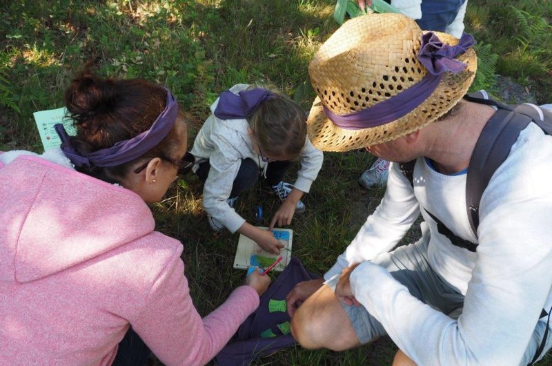 VG nature Game 2019 (6)