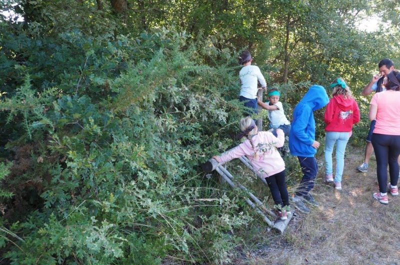 VG nature Game 2019 (72)