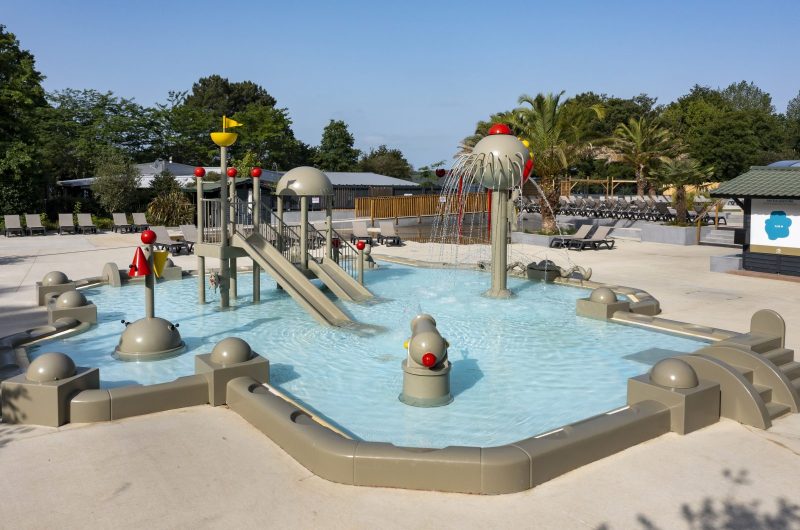 VSG_COL VERT 2026 (5)