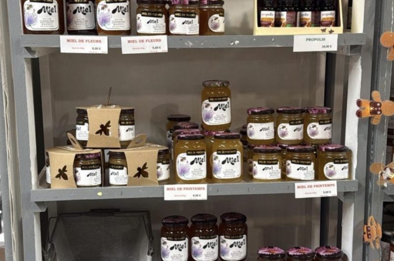 VSG_La Maison des Paysans Landais (11)