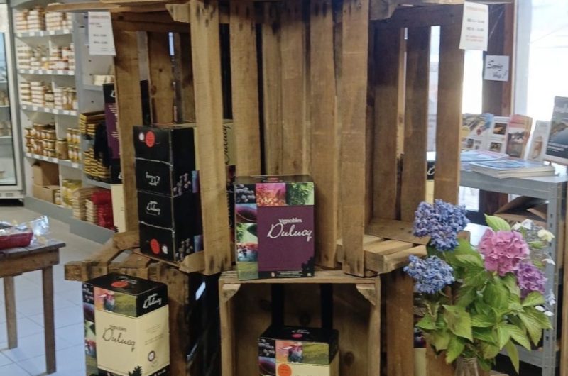 VSG_La Maison des Paysans Landais (3)