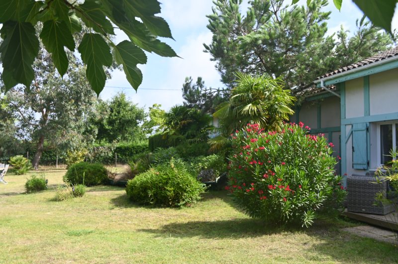 VSG_Le mas des Landes_ (1)