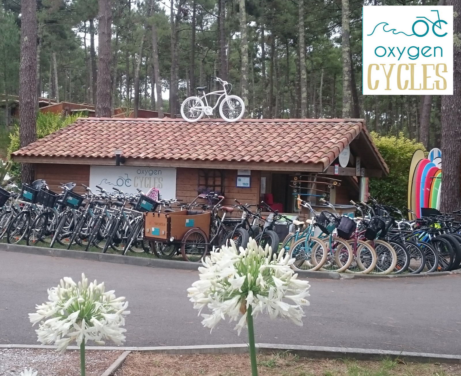 VSG_Oxygen Cycles_guide Papier