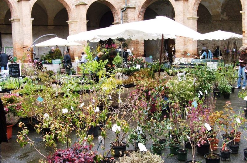 Varietas-Florum-pour-TIS.-2jpg