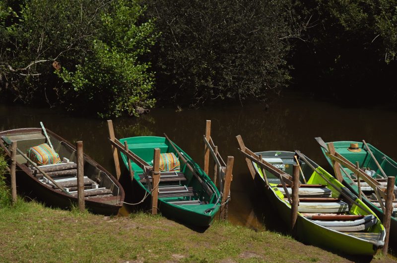 Vielle_2022-CLNT@benjaminfaure-32