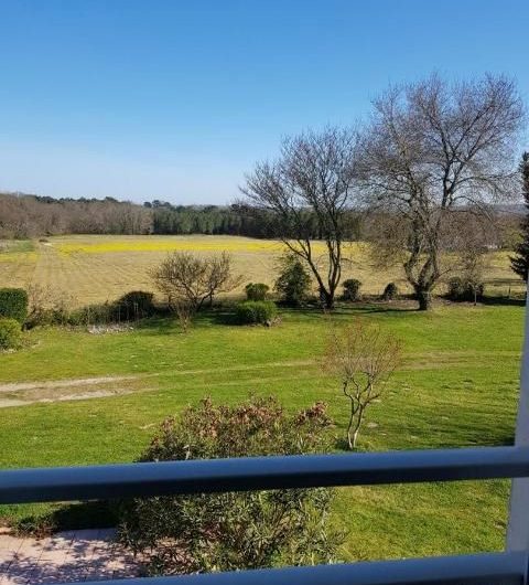 Vue de l’appartement côté Pyrénées (002)