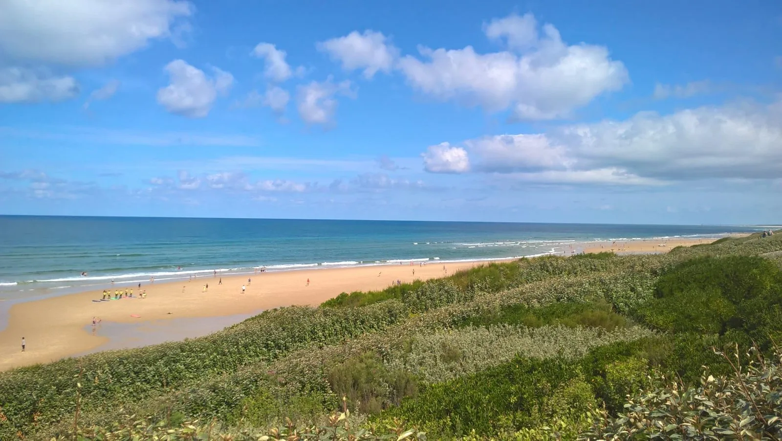 WP-20170812-11-37-55-Pro–1-