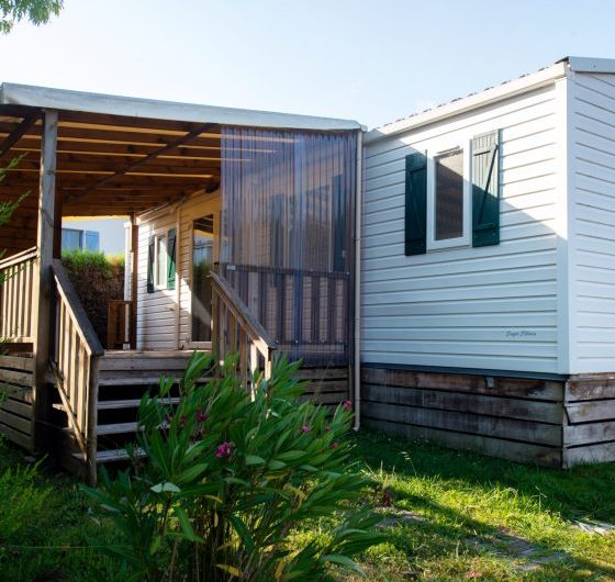 XSP_3280-scaled-pm8ueh5kiejx5jrdni31p7ospoqb0pszq9epkdjlr4