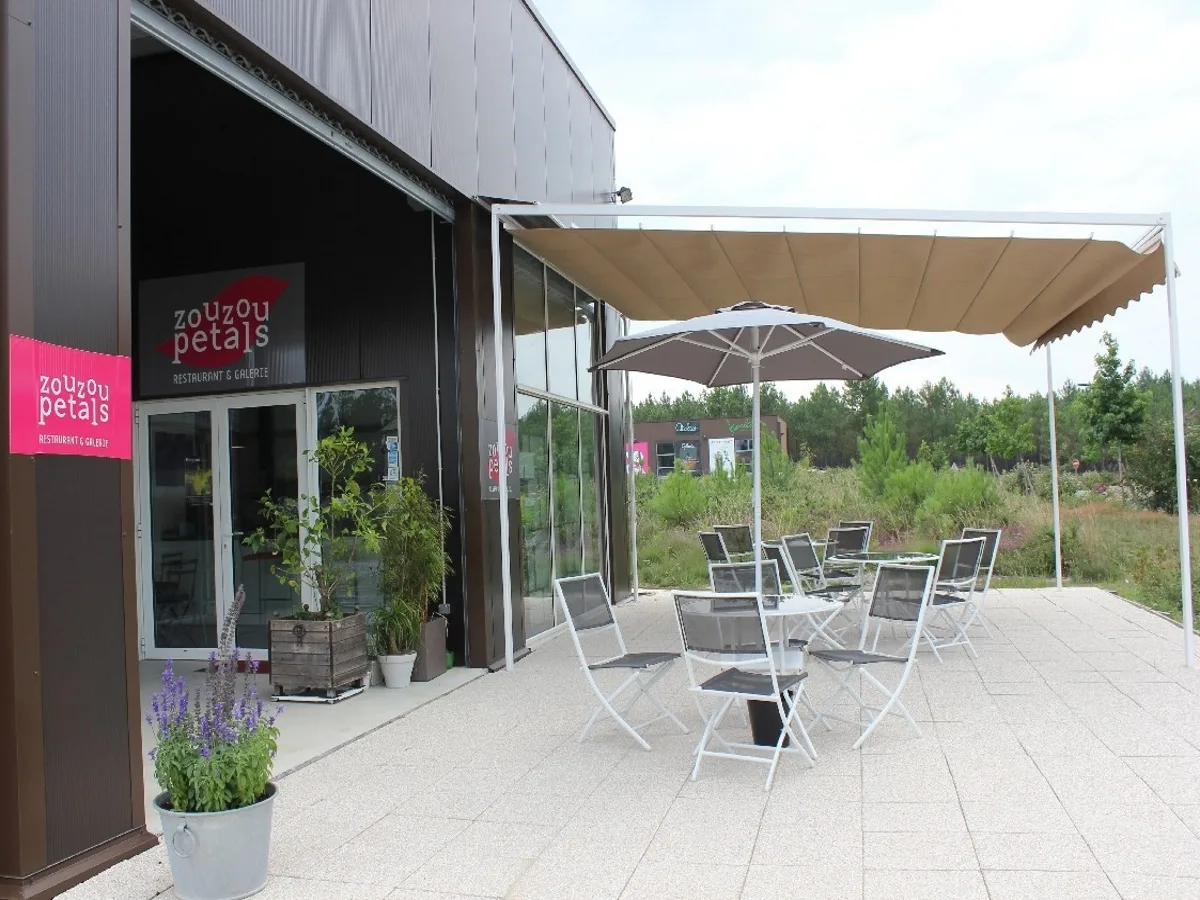 Zouzou-petals-2015–Seignosse-Tourisme–4-