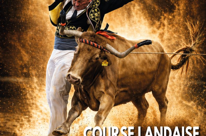 affiche-26-course landaise-morcenx