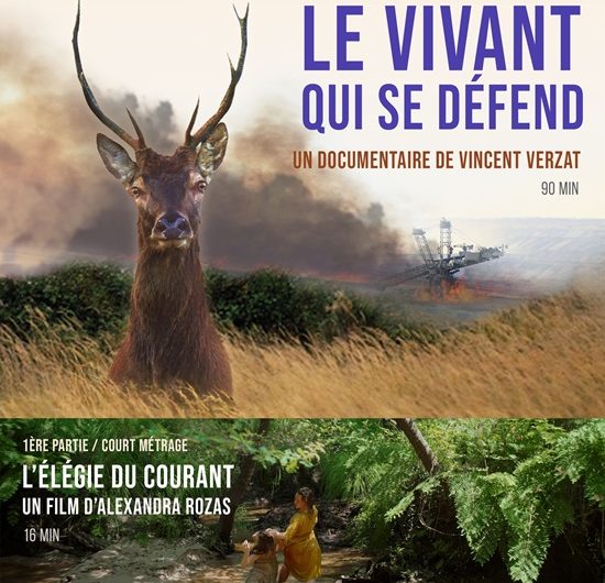 affiche projection def