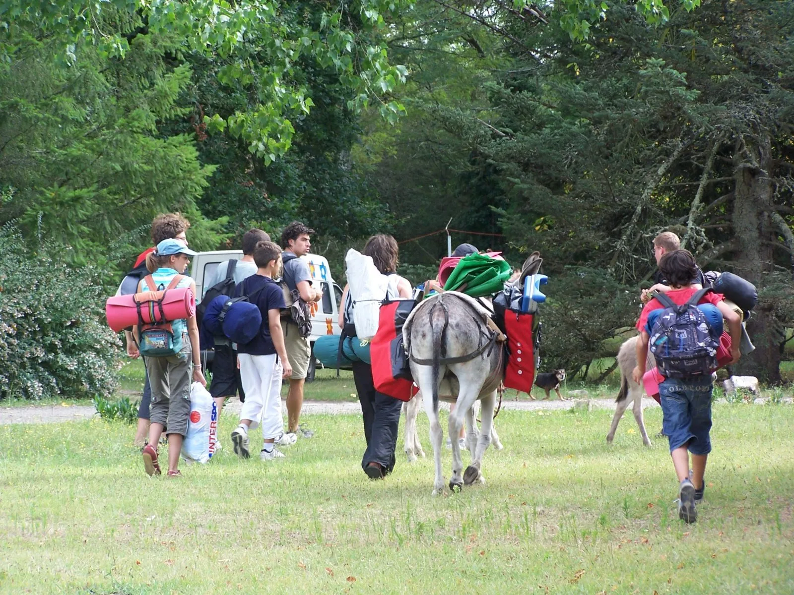ânes bâtés  – randonnée-5