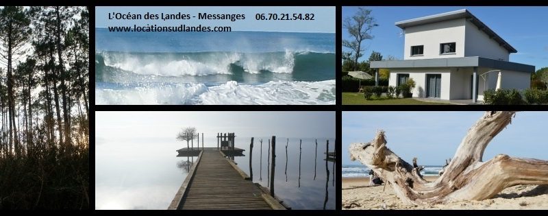 bandeau-ocean-des-landes