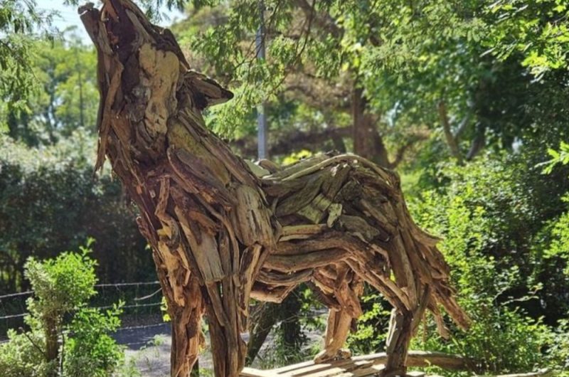 redim photo site et montages – 5