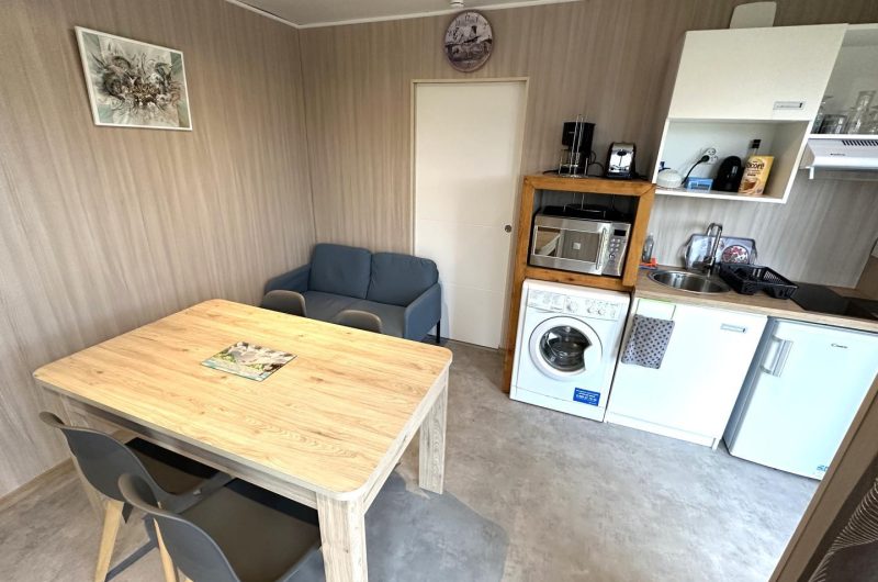 cabane-sur-pilotis-creon-d-armagnac-la-cabane-ribouillet-landes-d-armagnac–ref–201274