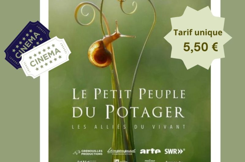 cine dans le cadre de Festiplantes – 3