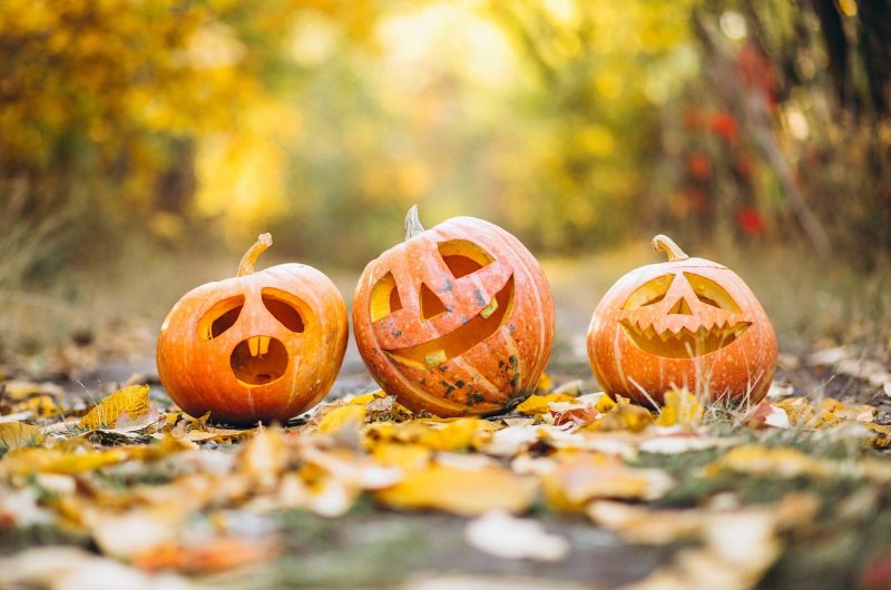citrouilles-halloween