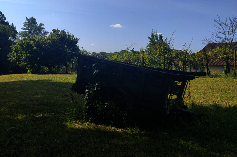 csm_Habas_charette_b7a80efd56