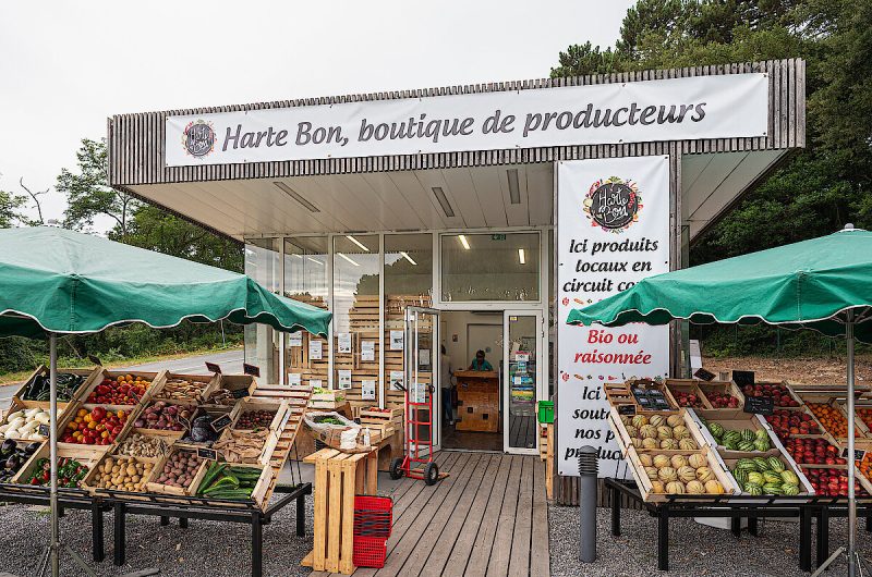 csm_Harte_Bon_boutique_0d58031170