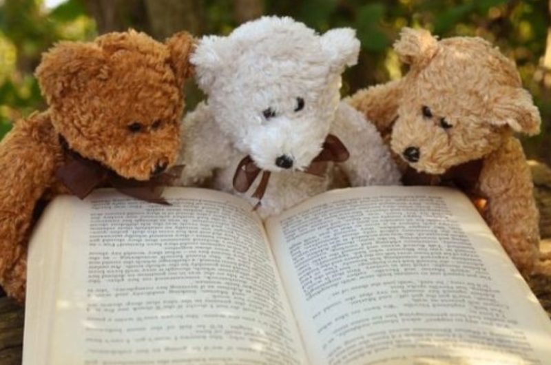 VISUELS Tourinsoft  – spect