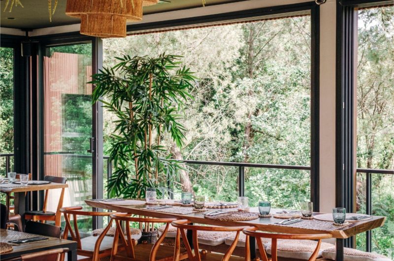 OT Hossegor – EL NIDO – el-nido-restaurant-vue-foret-midi-dejeuner-hossegor