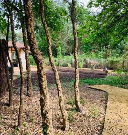 exterieur-maisonnette-boussouayre-moliets