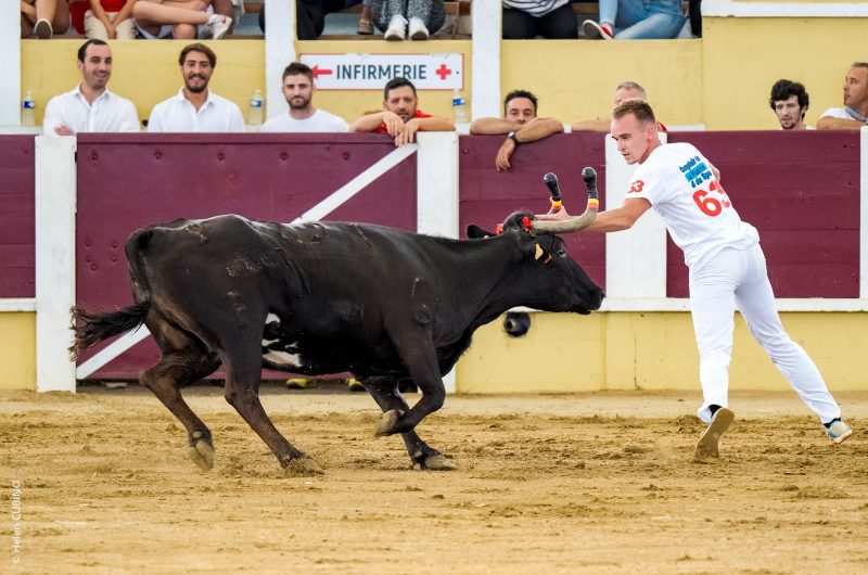 feria-parentis-en-born-2024-4