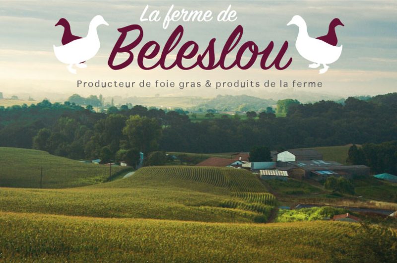 ferme-de-beleslou-cagnotte-landes-france-1