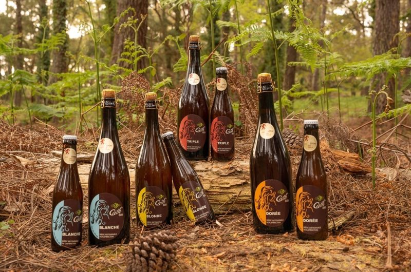 gamme degustation
