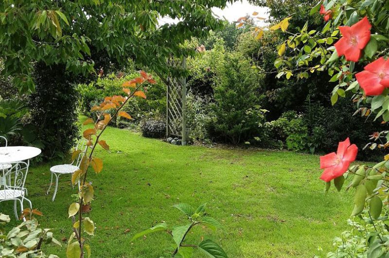 jardin  MARGUERITE CLNT 2024