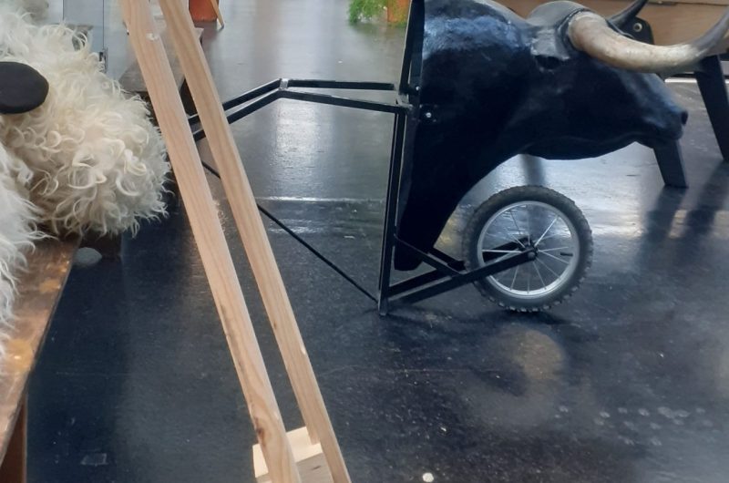 jeux-traditionnels-halles-dax