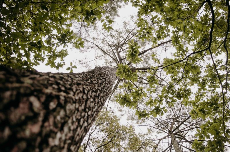 karenpetitphotographe@terra-atlaya (44)