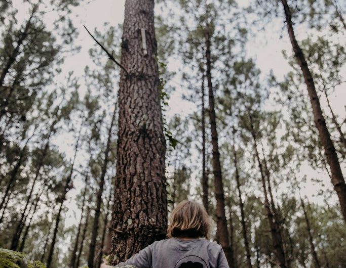 karenpetitphotographe@terra-atlaya (6)