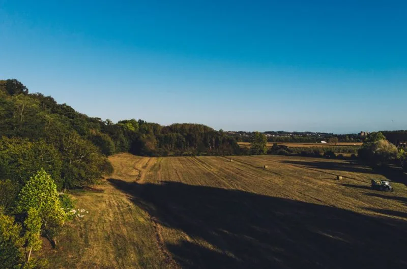 landes-pays-basque-hastingues-sudouest-location-maison-de-vacances-gite-terrasse-exterieur-vue-jardin